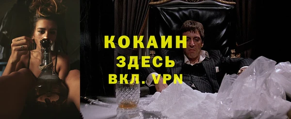 стафф Верея