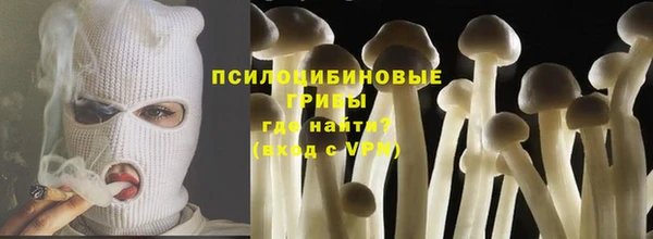 прущая мука Верхний Тагил