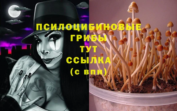стафф Верея