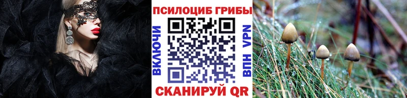как найти закладки  Вуктыл  Галлюциногенные грибы MAGIC MUSHROOMS 